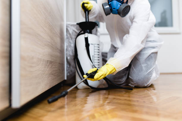 Best Cockroach Control Services  in Kannapolis, NC