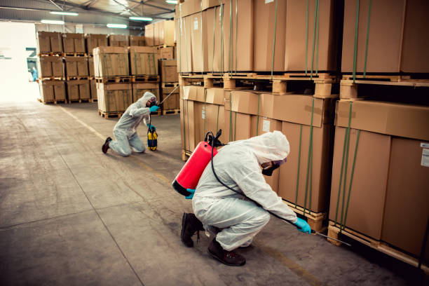 Best Wasp Removal Services  in Kannapolis, NC