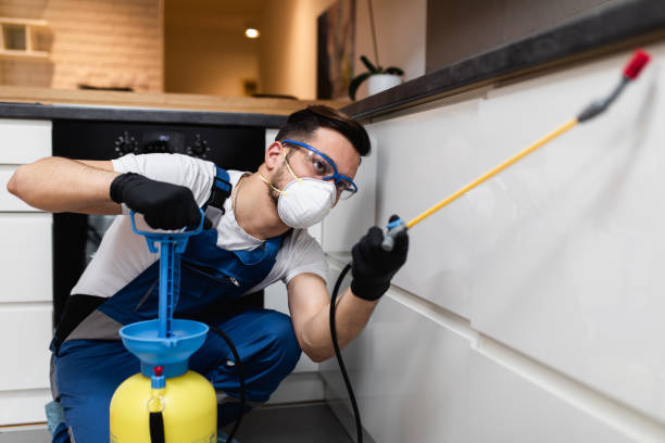 Best Bed Bug Extermination  in Kannapolis, NC