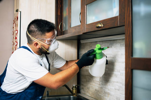 Best Pest Control Near Me in Kannapolis, NC
