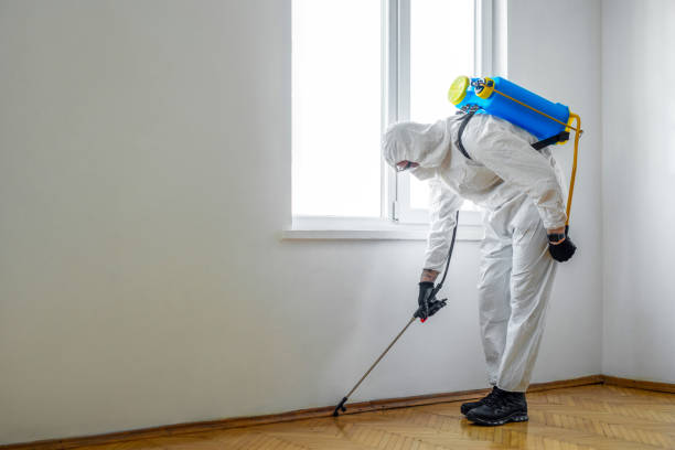 Best Exterminator Services  in Kannapolis, NC