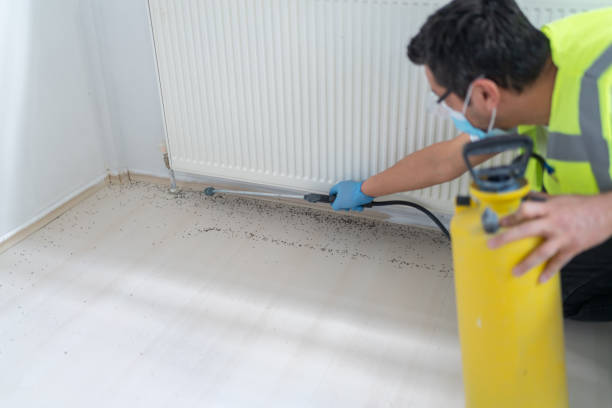 Best Pest Control Treatment  in Kannapolis, NC
