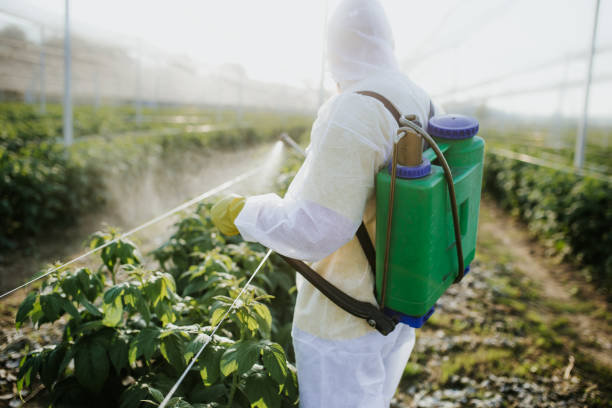 Best Commercial Pest Control Services  in Kannapolis, NC